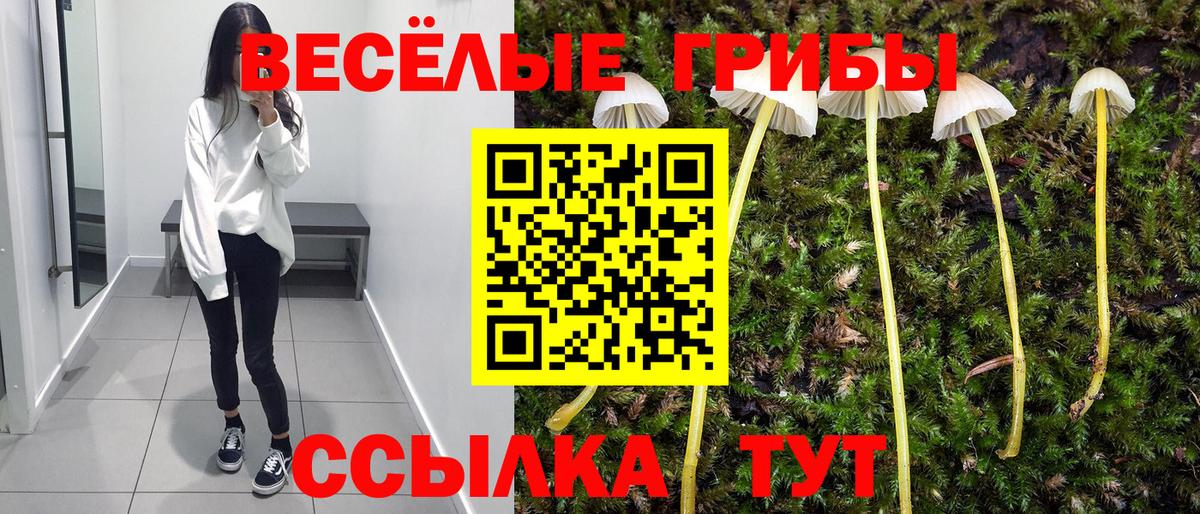 Галлюциногенные грибы ЛСД Вышний Волочёк